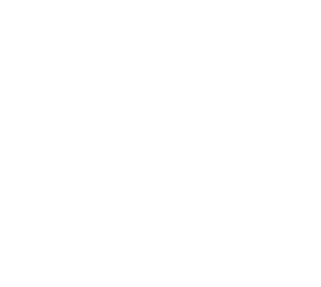 Top Reviews